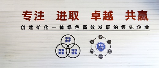 銅化集團確立新時期核心價值觀    文化賦能礦化一體綠色高效發(fā)展